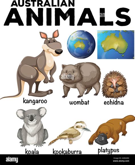 Australian Wild Animals And Australia Map Stock Vector Image And Art Alamy