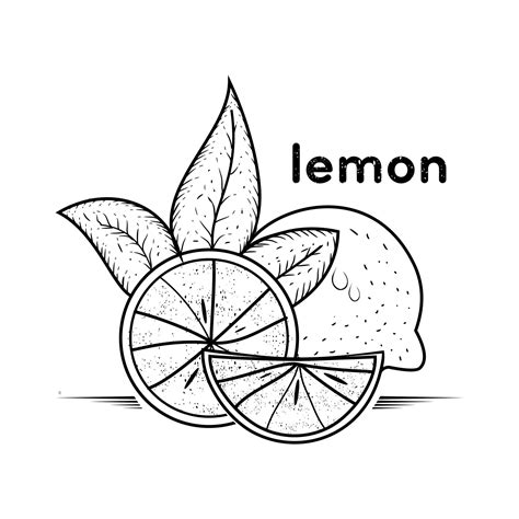 Premium Vector Lemon Hand Drawn Vintage