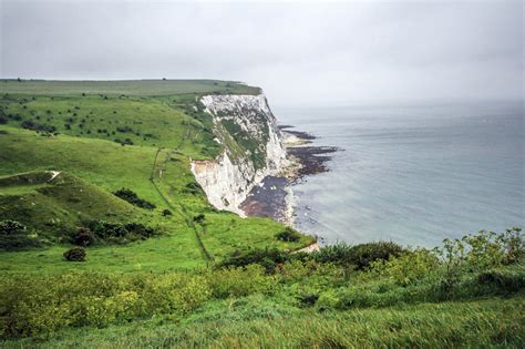 Thousands of people walk on the cliff's top paths during the season and enjoy the unique flora and fauna that can be found only here. White Cliffs of Dover - American Expeditioners