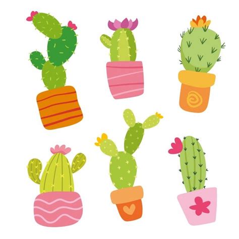 Free Vector Coloured Cactus Collection Cactus Ilustração Cactos