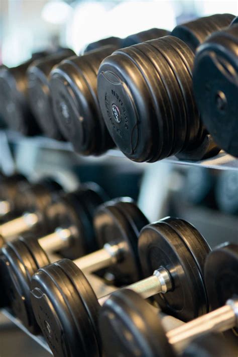 Dumbbells On Rack High Quality Free Stock Images