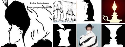 What Do You See Optical Illusion Pictures