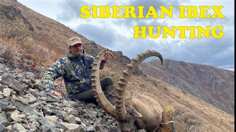 Siberian Ibex Hunting In Kazakhstan 2022 Youtube