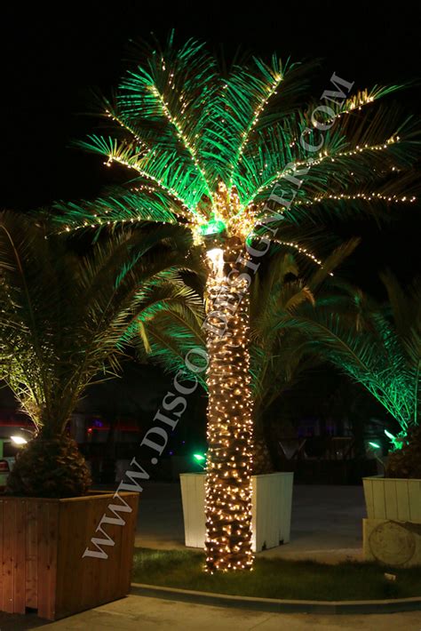Artificial Palm Tree Led Lighting
