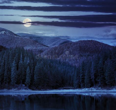 Lake Near The Mountain In Pine Forest At Night Stock Image Image Of