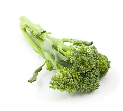 Broccolini Baby Broccoli Isolated Stock Photo Image Of Nutrition