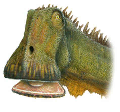 What dinosaur has 500 teeth. 7 Dinosaurs You Could Take In A Fight | Cracked.com