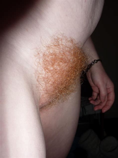Best Of Orange Red Brown Ginger And Blonde Pubic Hair 4 282 Pics Xhamster