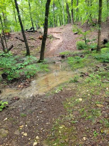 Best Lake Trails In Albemarle Alltrails