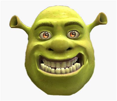 Shrek Funny Pictures Of Shrek Hd Png Download Kindpng