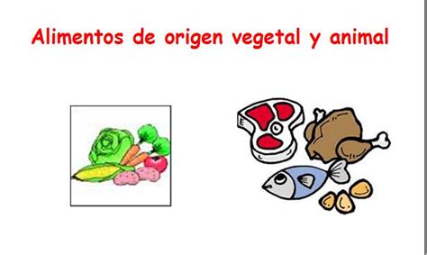 Alimentos De Origen Vegetal Y Animal Recurso Educativo 34257 Tiching