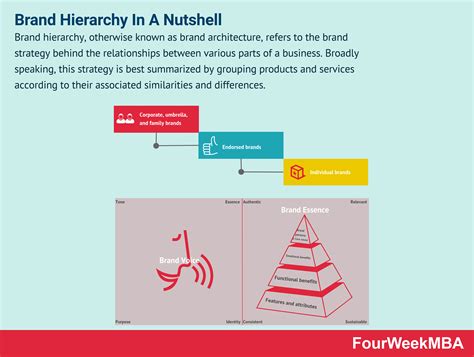 What Is A Brand Hierarchy And Why It Matters In Business Fourweekmba