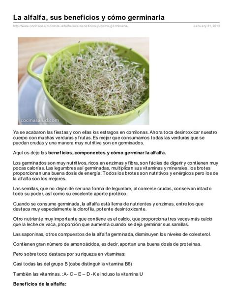 La Alfalfa Susbeneficiosycmogerminarla