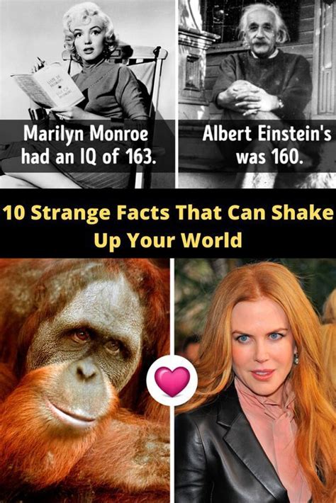10 Strange Facts That Can Shake Up Your World Weird Facts Amazing