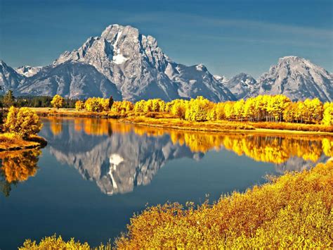 River With Ash Color Mountain Reflection Surrounded By Yellow Leafed