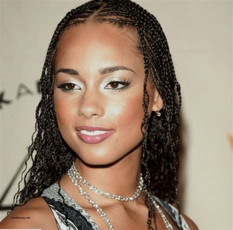 Alicia Keys Alicia Keys Hairstyles Micro Braids Hairstyles Braids
