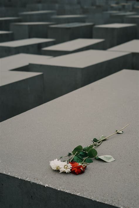 Hamilton Mill Memorial Chapel & Gardens | Buford, GA