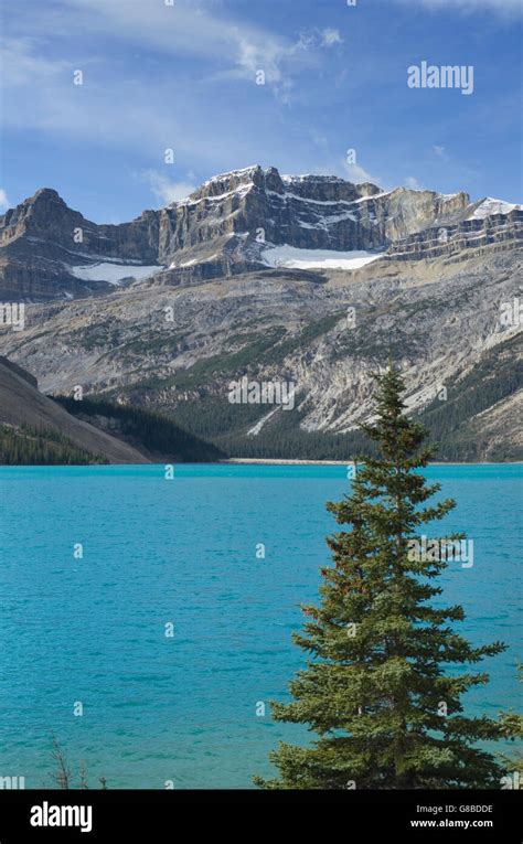 Bow Lake Banff National Park Alberta Stock Photo Alamy