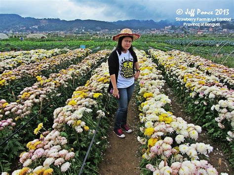 Bisayang Manlalakbay Around The Philippines Vegetable