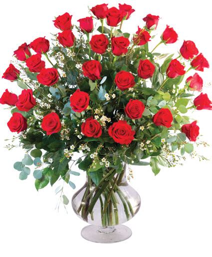 Three Dozen Red Roses Vase Arrangement In Beloit Oh American Flower