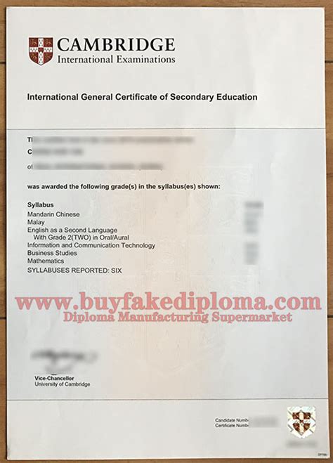 Fake Igcse Certificatehow Can Buy Igcse Fake Certificatebuy Fake