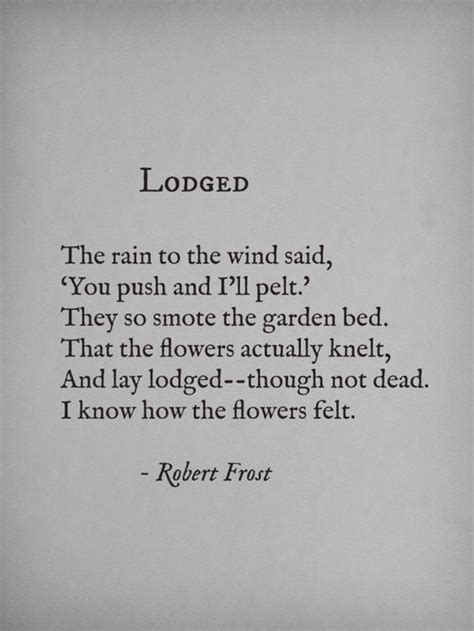Lodged By Robert Frost Poetry Words Words Quotes