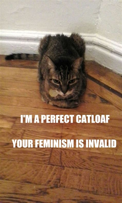 What Do Cats And Feminism Have In Common Elephant Journal