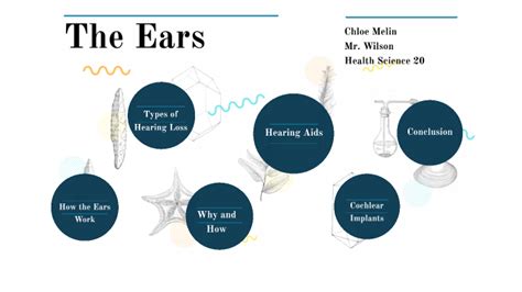 How The Ears Work By Chloe Melin On Prezi