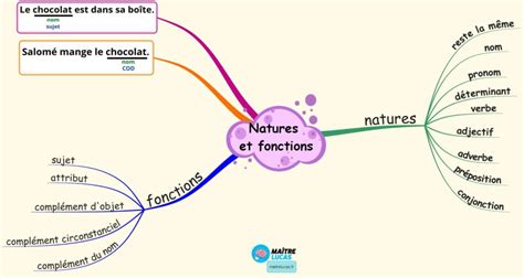 Carte mentale Nature et fonction des mots CM1 CM2 Maître Lucas