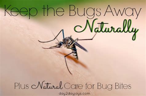 Check spelling or type a new query. Keep the Bugs Away Naturally {Plus Natural Care for Bug ...