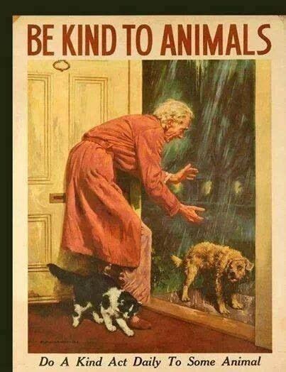 7 Vintage Posters That Prove Kindness To Animals Isnt A New Idea