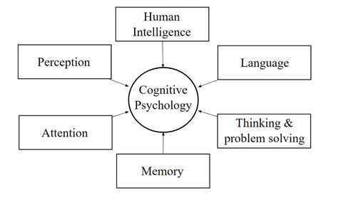 Cognitive Psychology Reflection Essay
