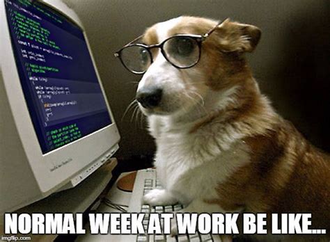The best gifs are on giphy. Having a rough week? Cheer up because we have collected ...