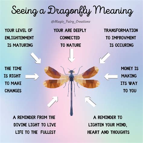 Dragon Fly Spiritual Meaning Spiritual Animal Spiritual Meaning