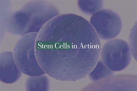 Stem Cells In Action Danai Medi Wellness