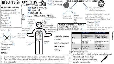 Infective Endocarditis Diagnosis And Management Summary Pearls