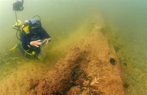 Divers Stumble Upon Ancient Underwater Forest Off The Coast Of Britain