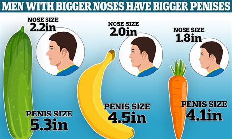 Larger Noses Equal Larger Penises According To Study The Lounge