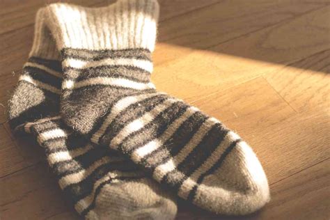 6 Reasons Why All Golden Retrievers Love Socks So Much Retriever Advice