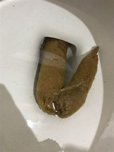 Had To Chop This One Up Clogged Toilets 2 Days In A Row Rpoop