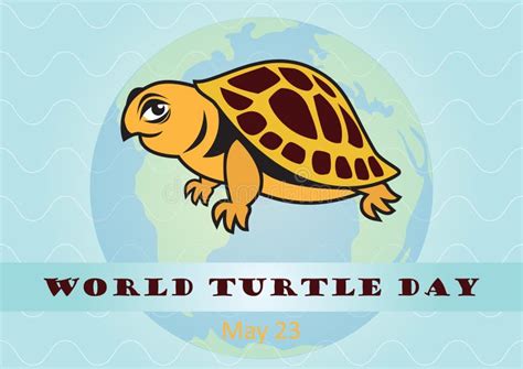 World Turtle Day Stock Vector Illustration Of Ocean 70376277