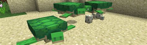 Mar 24, 2021 · exact answer: Minecraft: How-to Breed Turtles - Babies, Scutes, and ...