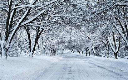 Snowy Winter Wallpapers Trees Desktop Road Ipad