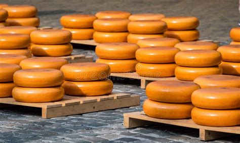 Iconic Images Of Dutch Cheese Making Traditions In The Netherlands