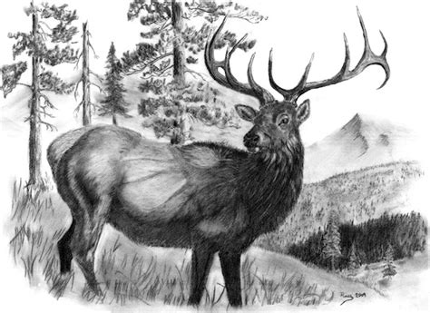This bull found a very willing cow and mounted her twice at evergreen lake in co. 40 best images about Random Board on Pinterest | Lakes ...