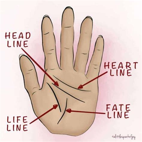 The Complete Palm Reading Guide To Reading Between The Lines Artofit