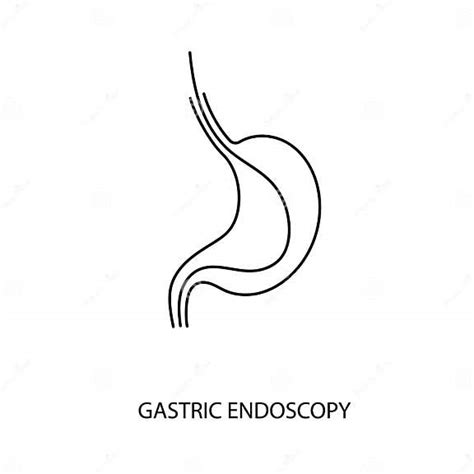 Gastric Endoscopy Illustration Equipment For Endoscopy Icon Line In