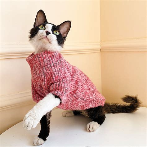 Cozy Sphynx Cat Sweater Cat Jumper Hairless Cat Clothes Devon Etsy