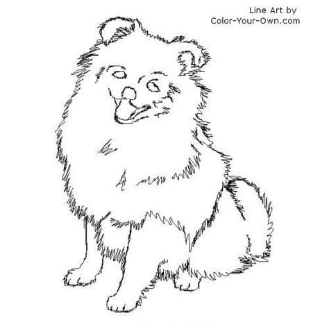 Free Coloring Pages Puppy Pomeranian Kingqisherman