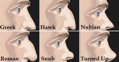 What Is The Most Attractive Nose Shape Most Attractive Nose Shape